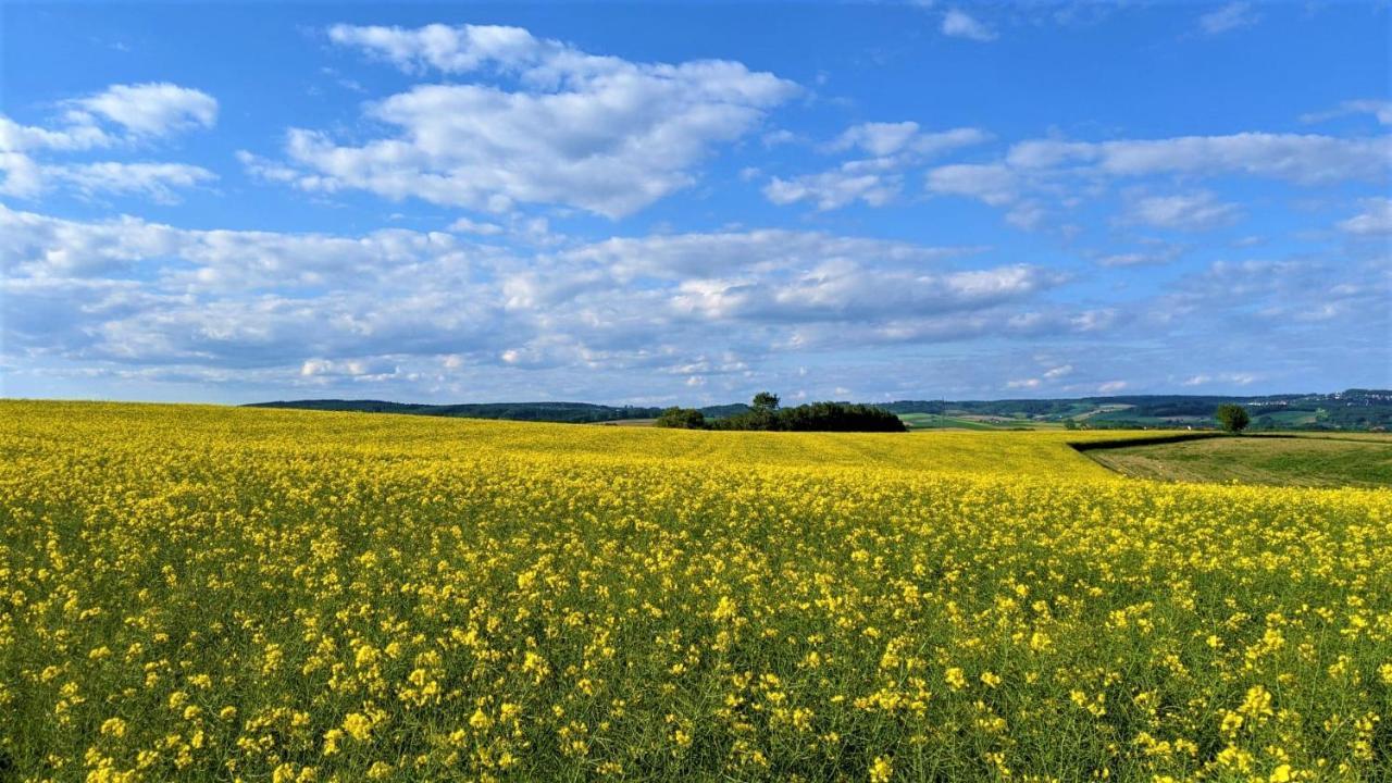 Pension Margaretenhof Bayerbach エクステリア 写真